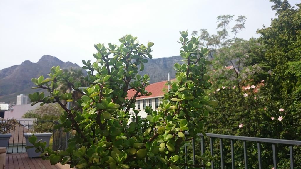 The Parkhouse Hotel Kaapstad Kamer foto